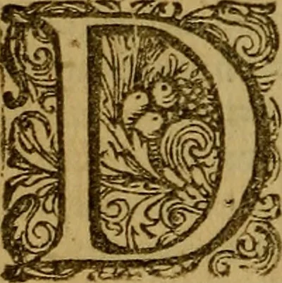 An illustration from De la recherche de la verité : où L'on traitte de la nature de l'esprit de l'homme, & de l'usage qu'il en doit faire pour éviter l'erreur dans les sciences, 1688, leaf 165