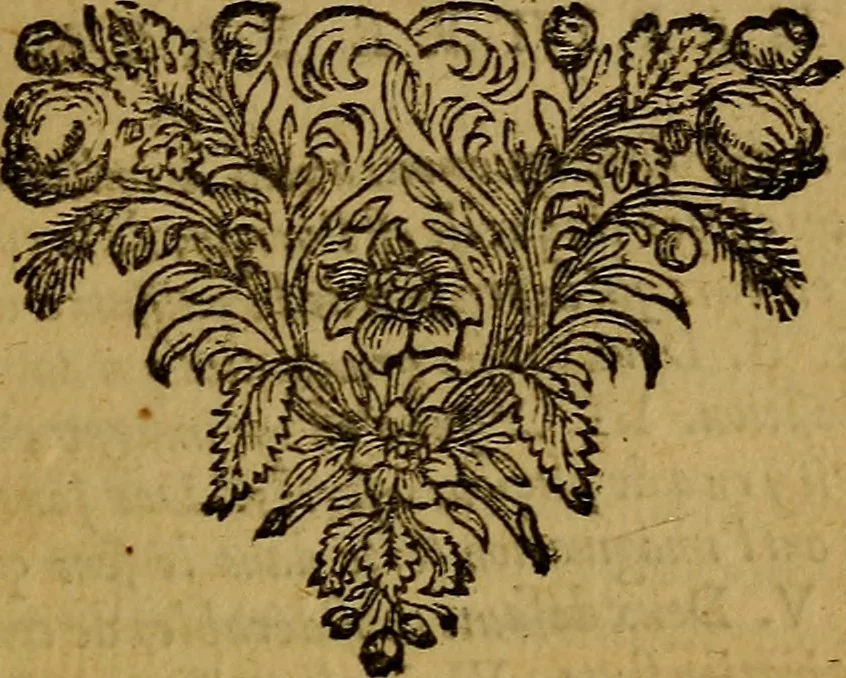 An illustration from De la recherche de la verité : où L'on traitte de la nature de l'esprit de l'homme, & de l'usage qu'il en doit faire pour éviter l'erreur dans les sciences, 1688, leaf 276