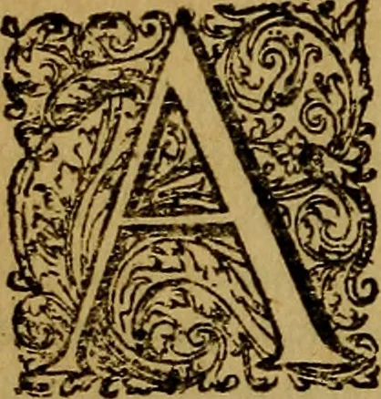 An illustration from De la recherche de la verité : où L'on traitte de la nature de l'esprit de l'homme, & de l'usage qu'il en doit faire pour éviter l'erreur dans les sciences, 1688, leaf 277