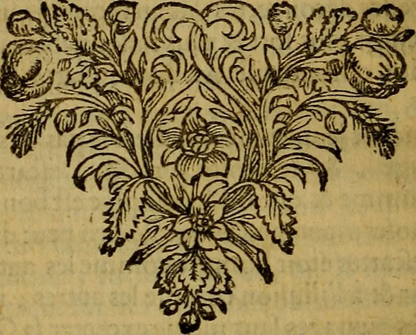 An illustration from De la recherche de la verité : où L'on traitte de la nature de l'esprit de l'homme, & de l'usage qu'il en doit faire pour éviter l'erreur dans les sciences, 1688, leaf 361