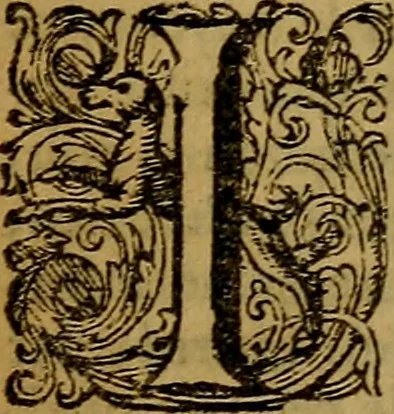 An illustration from De la recherche de la verité : où L'on traitte de la nature de l'esprit de l'homme, & de l'usage qu'il en doit faire pour éviter l'erreur dans les sciences, 1688, leaf 362