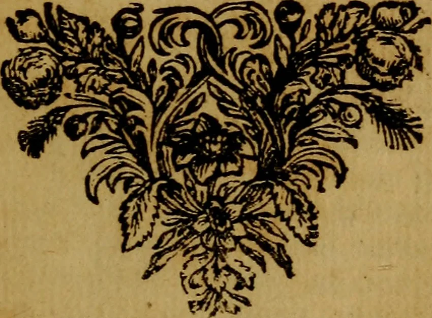 An illustration from De la recherche de la verité : où L'on traitte de la nature de l'esprit de l'homme, & de l'usage qu'il en doit faire pour éviter l'erreur dans les sciences, 1688, leaf 4