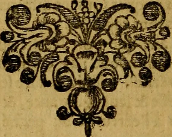 An illustration from De la recherche de la verité : où L'on traitte de la nature de l'esprit de l'homme, & de l'usage qu'il en doit faire pour éviter l'erreur dans les sciences, 1688, leaf 535