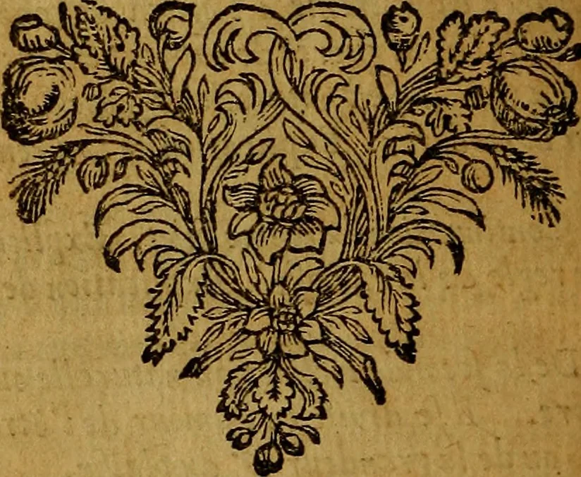 An illustration from De la recherche de la verité : où L'on traitte de la nature de l'esprit de l'homme, & de l'usage qu'il en doit faire pour éviter l'erreur dans les sciences, 1688, leaf 545