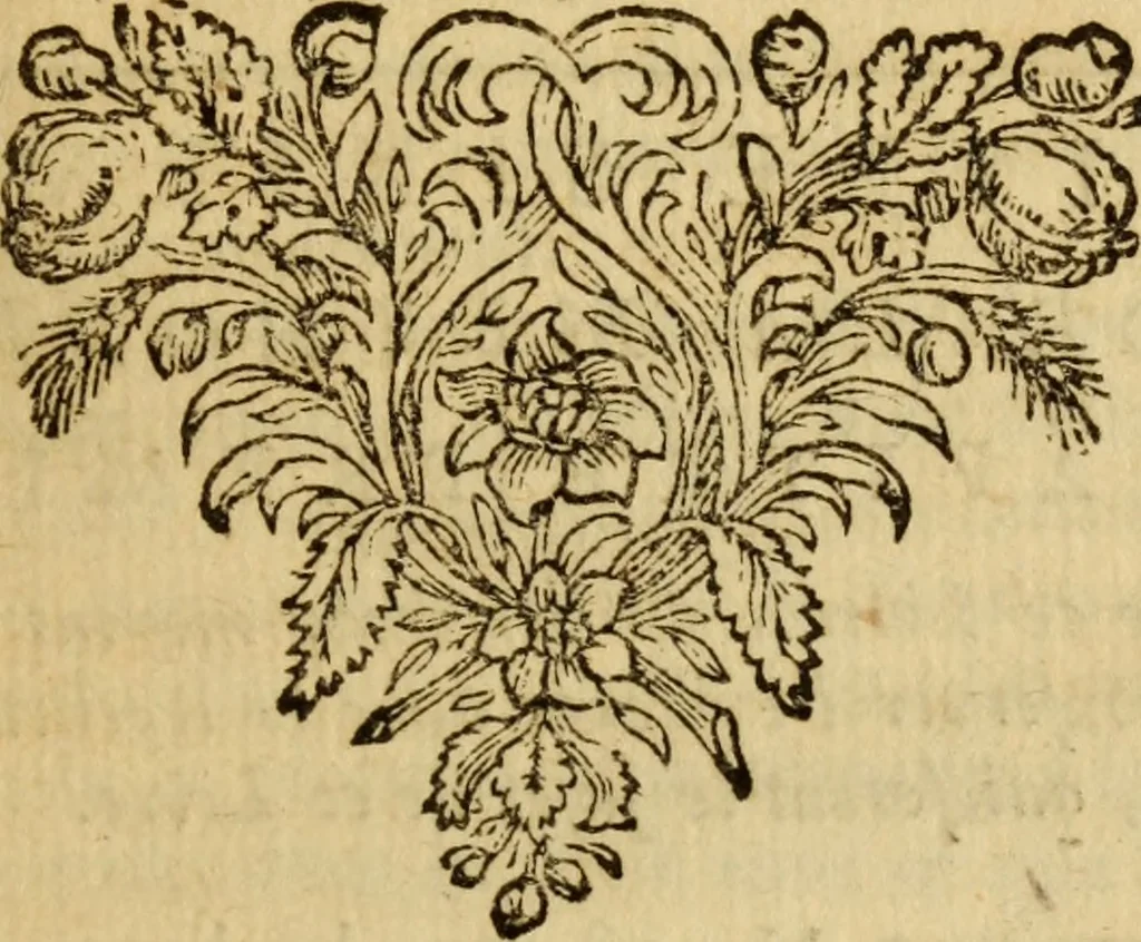 An illustration from De la recherche de la verité : où L'on traitte de la nature de l'esprit de l'homme, & de l'usage qu'il en doit faire pour éviter l'erreur dans les sciences, 1688, leaf 120
