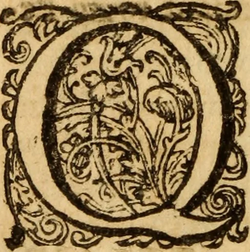 An illustration from De la recherche de la verité : où L'on traitte de la nature de l'esprit de l'homme, & de l'usage qu'il en doit faire pour éviter l'erreur dans les sciences, 1688, leaf 339