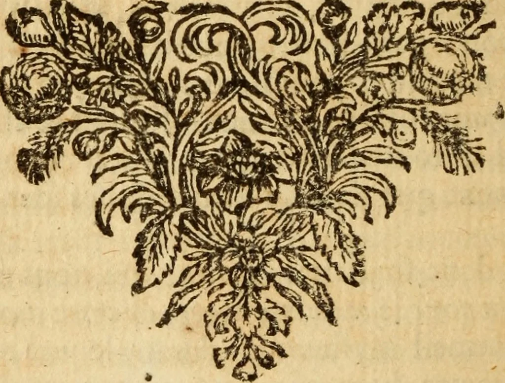 An illustration from De la recherche de la verité : où L'on traitte de la nature de l'esprit de l'homme, & de l'usage qu'il en doit faire pour éviter l'erreur dans les sciences, 1688, leaf 477