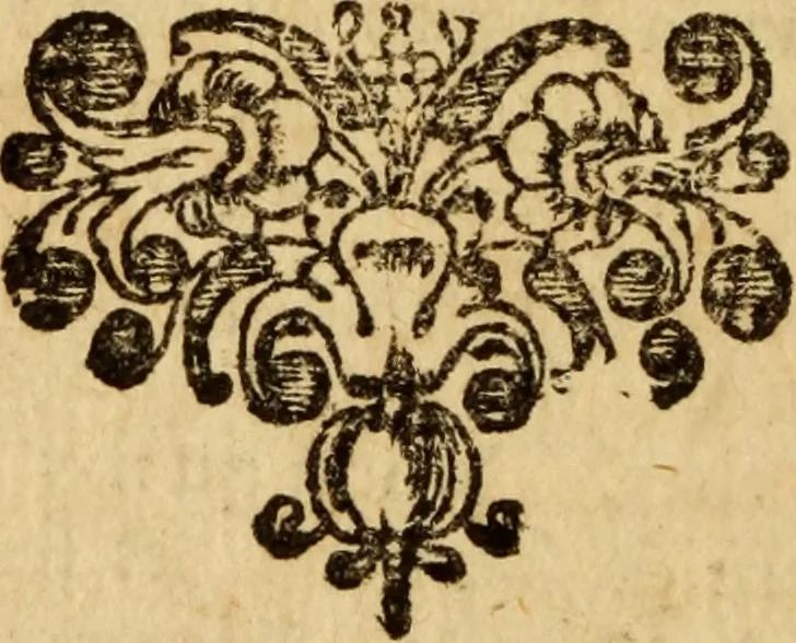 An illustration from De la recherche de la verité : où L'on traitte de la nature de l'esprit de l'homme, & de l'usage qu'il en doit faire pour éviter l'erreur dans les sciences, 1688, leaf 509