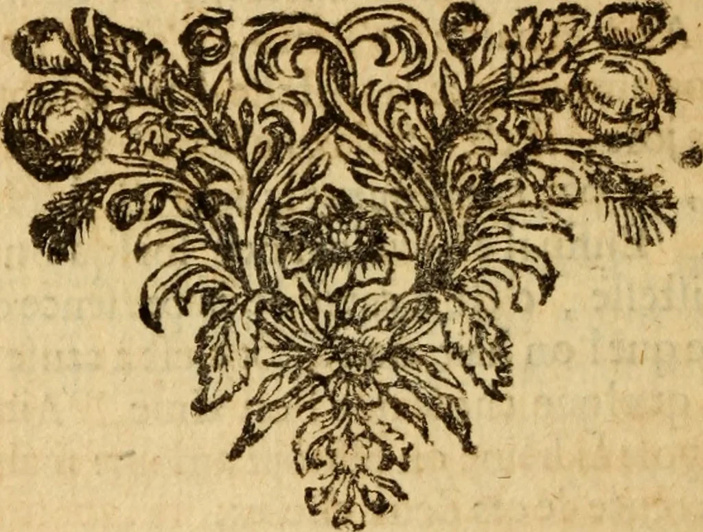 An illustration from De la recherche de la verité : où L'on traitte de la nature de l'esprit de l'homme, & de l'usage qu'il en doit faire pour éviter l'erreur dans les sciences, 1688, leaf 515