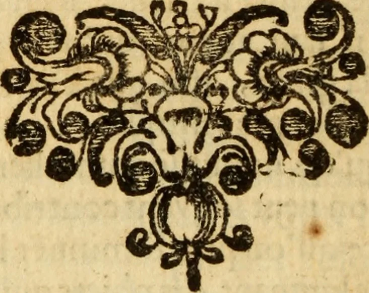 An illustration from De la recherche de la verité : où L'on traitte de la nature de l'esprit de l'homme, & de l'usage qu'il en doit faire pour éviter l'erreur dans les sciences, 1688, leaf 573