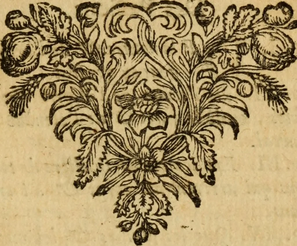 An illustration from De la recherche de la verité : où L'on traitte de la nature de l'esprit de l'homme, & de l'usage qu'il en doit faire pour éviter l'erreur dans les sciences, 1688, leaf 602