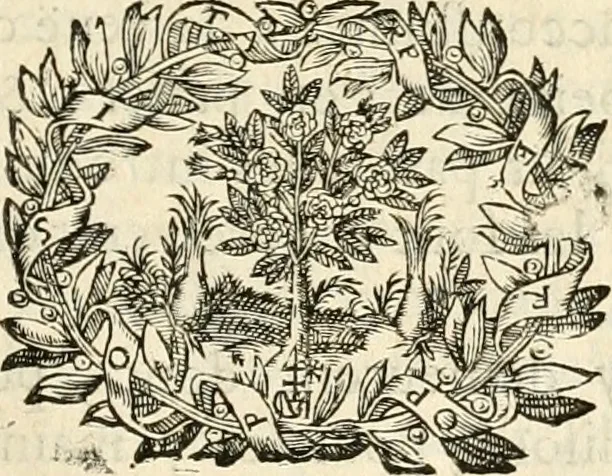 An illustration from De l'art des devises, 1666, leaf 184