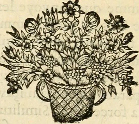 An illustration from De l'art des devises, 1666, leaf 187