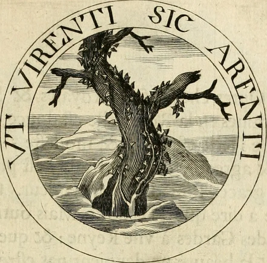 An illustration from De l'art des devises, 1666, leaf 358