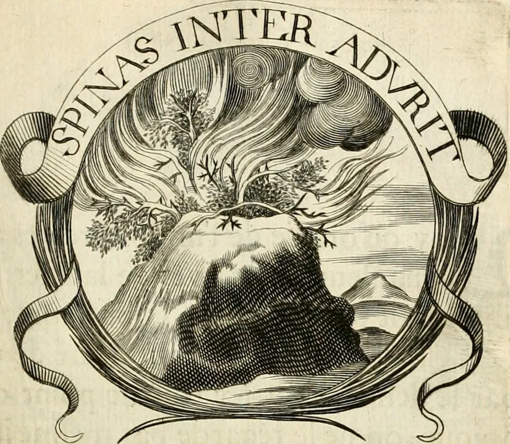 An illustration from De l'art des devises, 1666, leaf 416