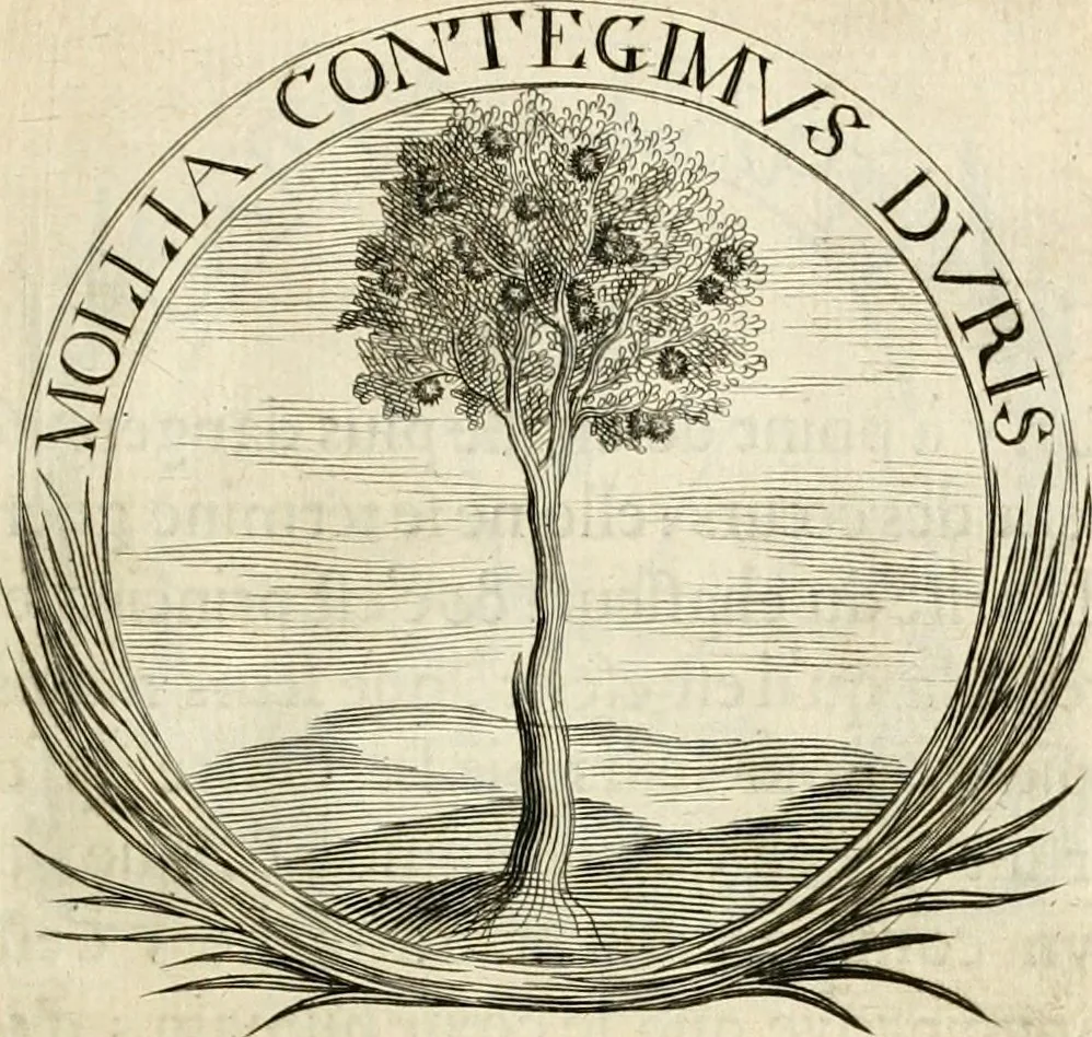 An illustration from De l'art des devises, 1666, leaf 418