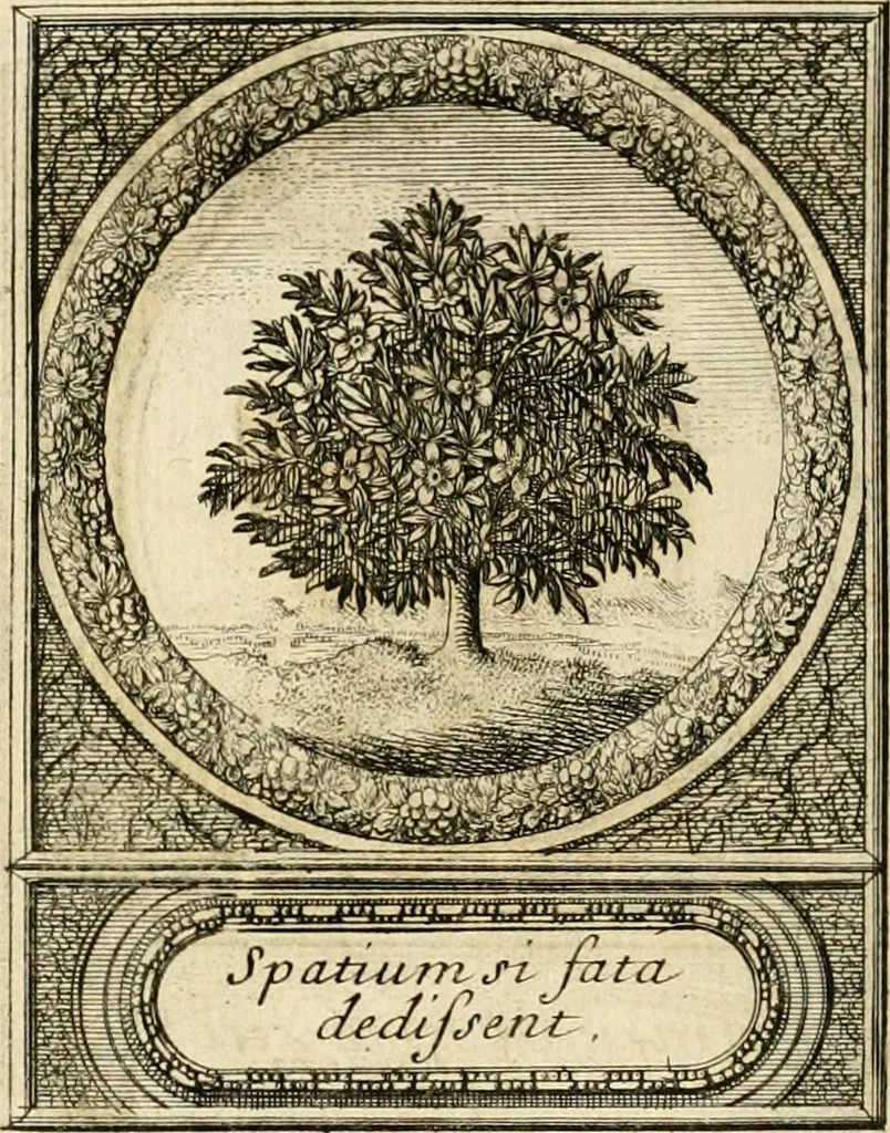 An illustration from De l'art des devises, 1666, leaf 527