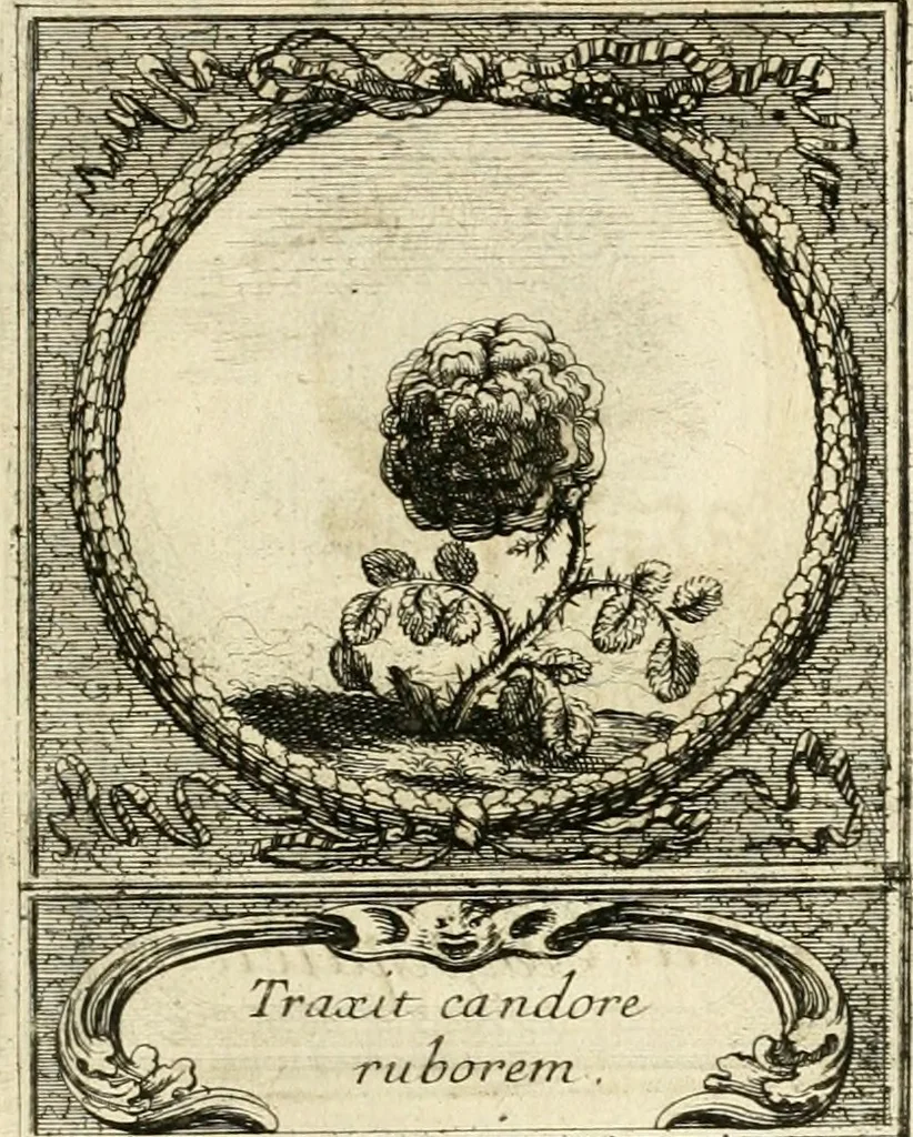 An illustration from De l'art des devises, 1666, leaf 528