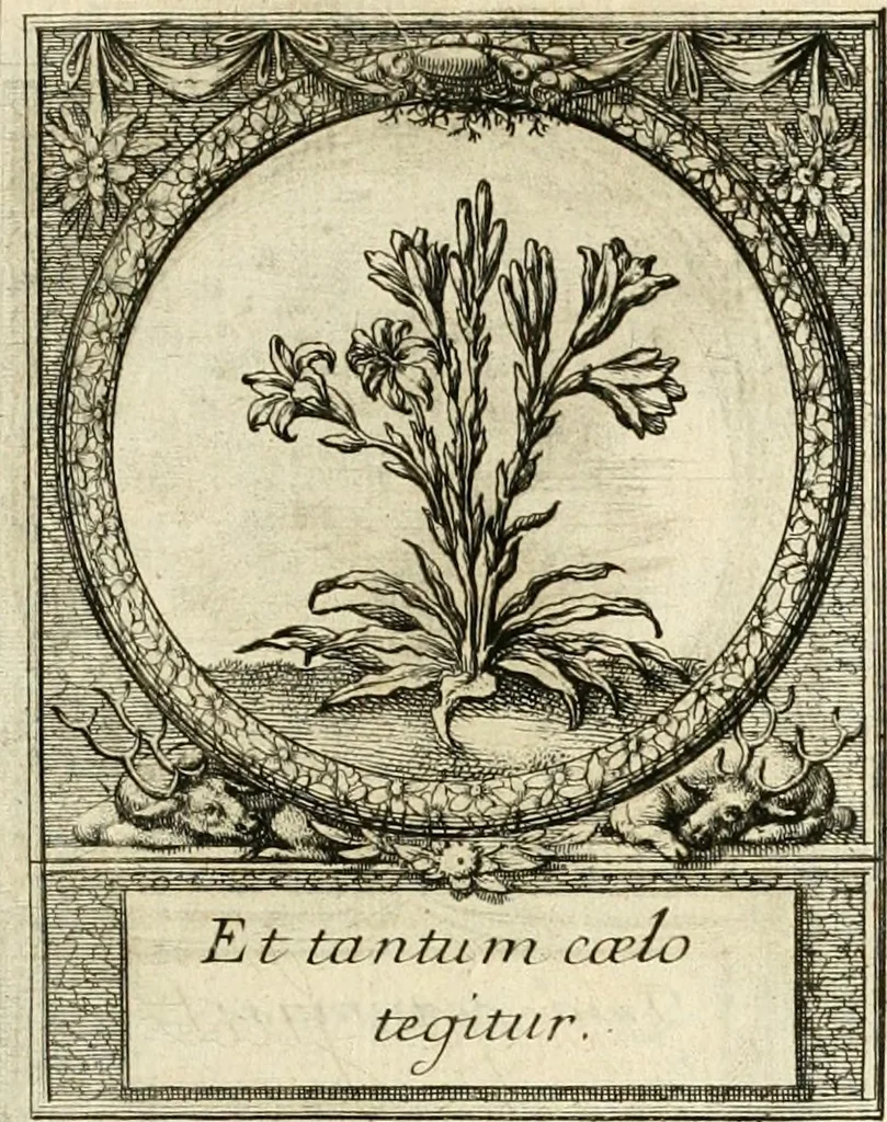 An illustration from De l'art des devises, 1666, leaf 536