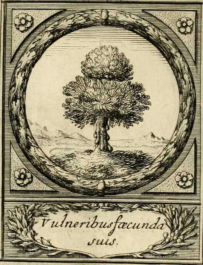 An illustration from De l'art des devises, 1666, leaf 543