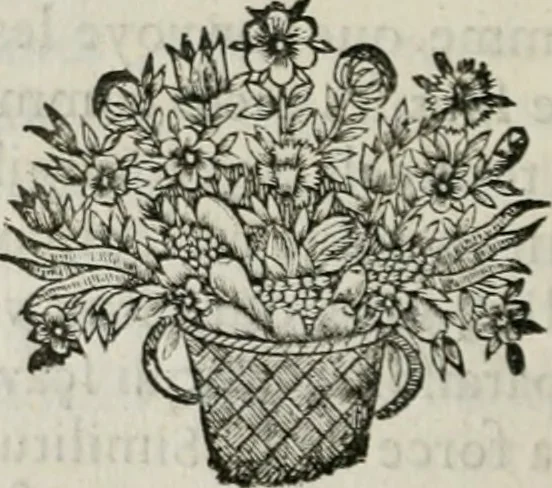 An illustration from De l'art des devises, 1666, leaf 187
