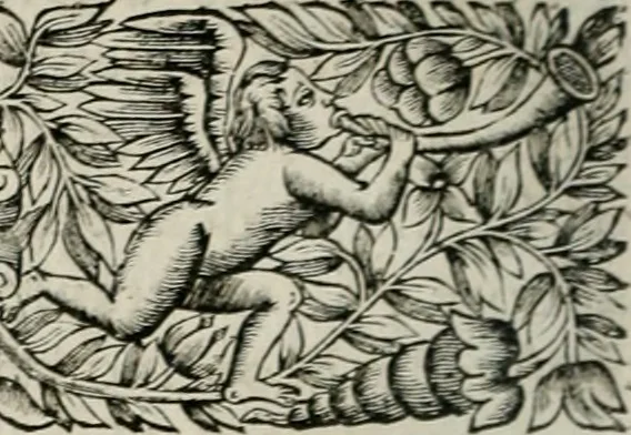 An illustration from De l'art des devises, 1666, leaf 247