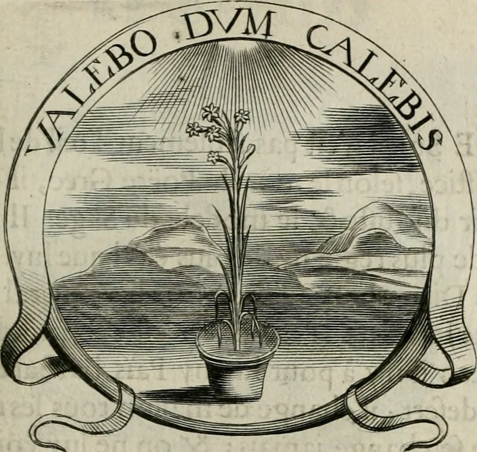 An illustration from De l'art des devises, 1666, leaf 362
