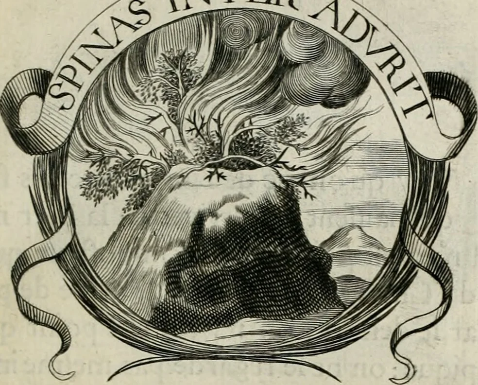 An illustration from De l'art des devises, 1666, leaf 416
