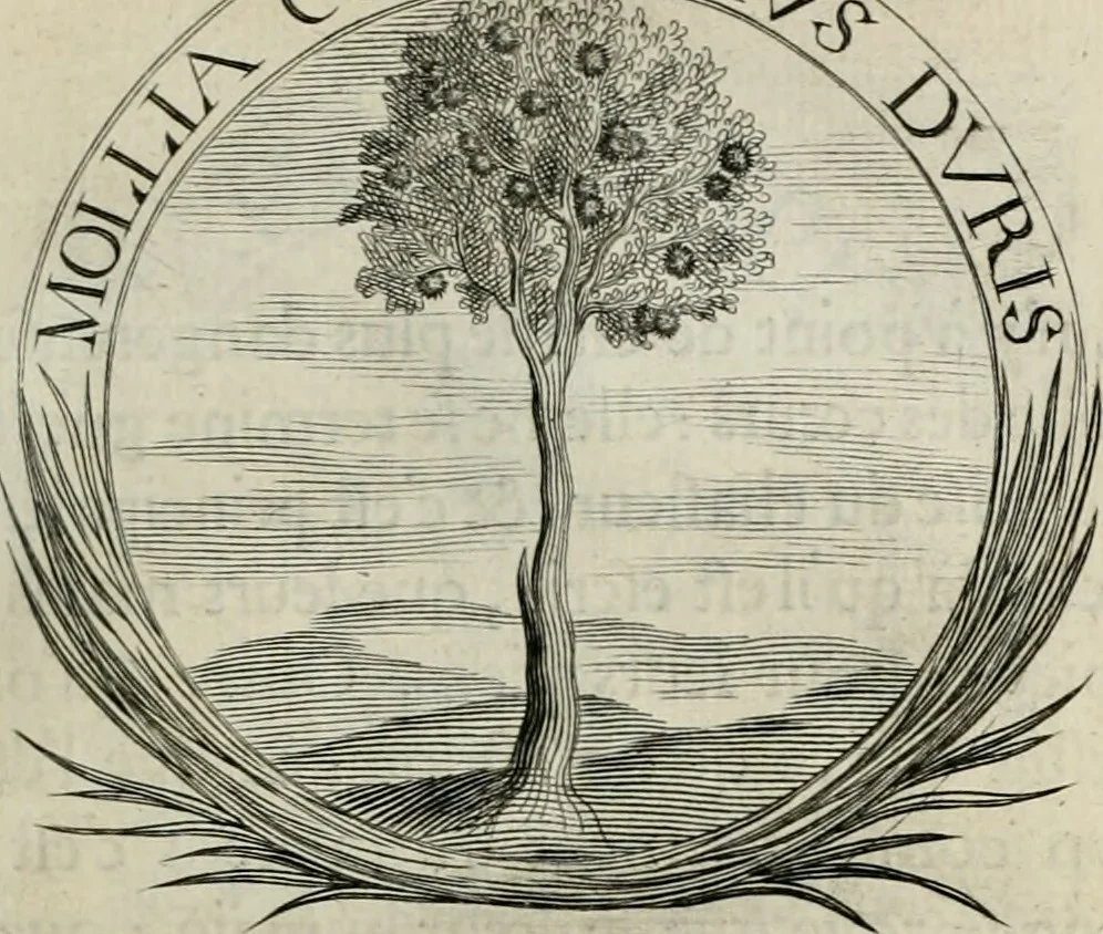 An illustration from De l'art des devises, 1666, leaf 418
