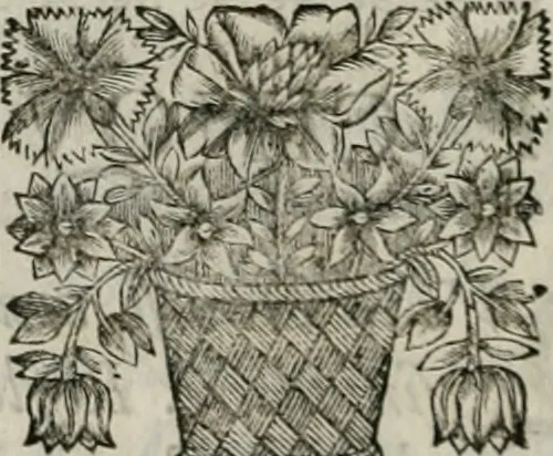 An illustration from De l'art des devises, 1666, leaf 45