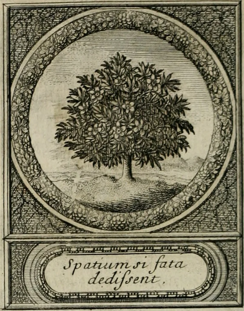 An illustration from De l'art des devises, 1666, leaf 527