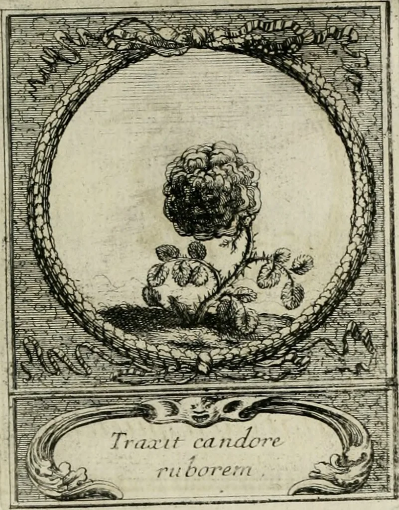 An illustration from De l'art des devises, 1666, leaf 528