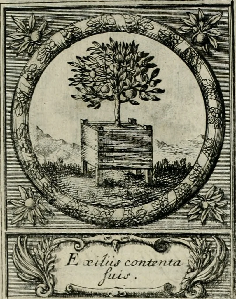 An illustration from De l'art des devises, 1666, leaf 534