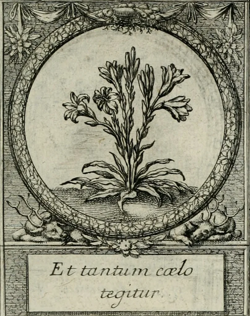 An illustration from De l'art des devises, 1666, leaf 536