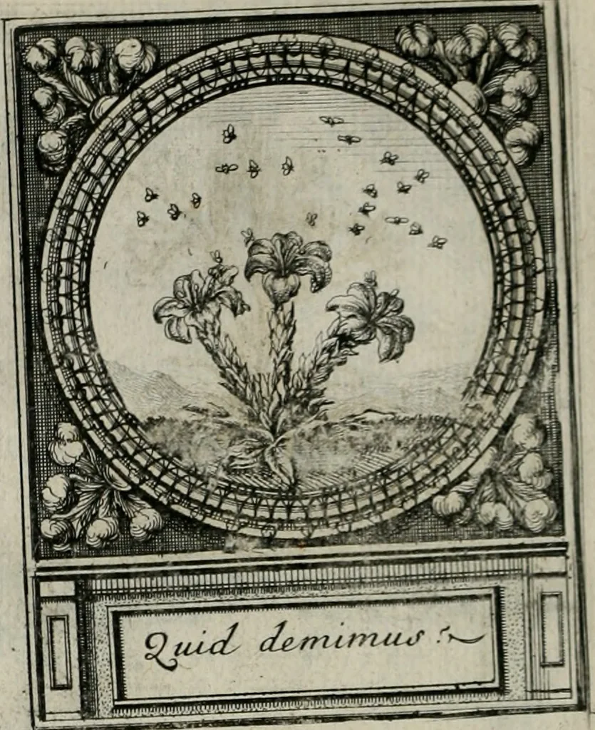 An illustration from De l'art des devises, 1666, leaf 537