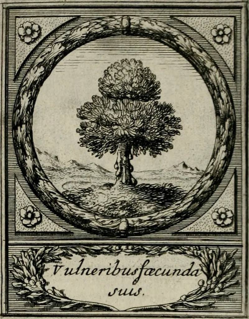 An illustration from De l'art des devises, 1666, leaf 543