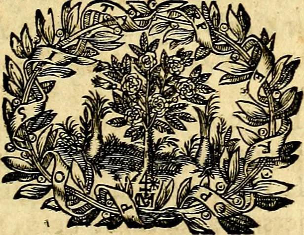 An illustration from De l'art des devises, 1666, leaf 126