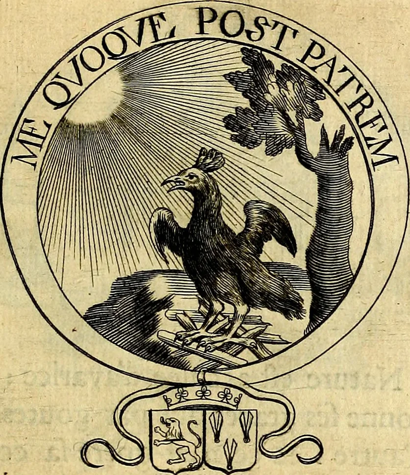 An illustration from De l'art des devises, 1666, leaf 314
