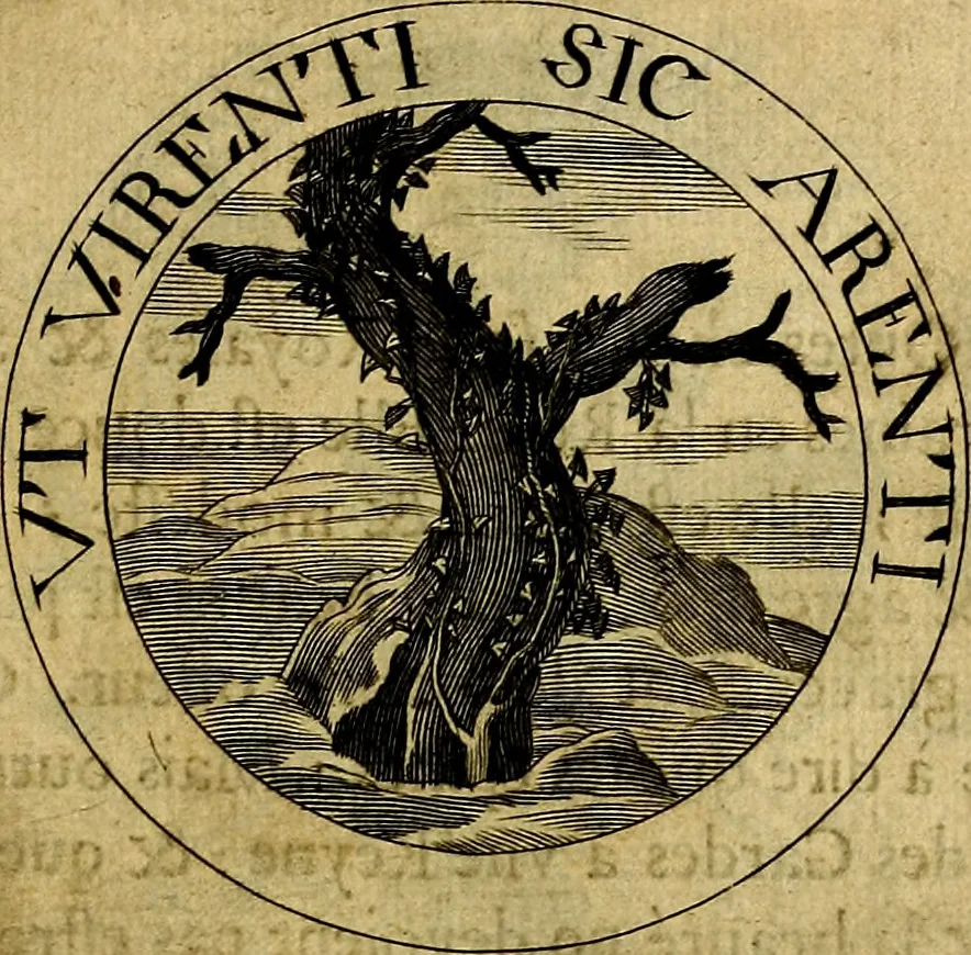 An illustration from De l'art des devises, 1666, leaf 356