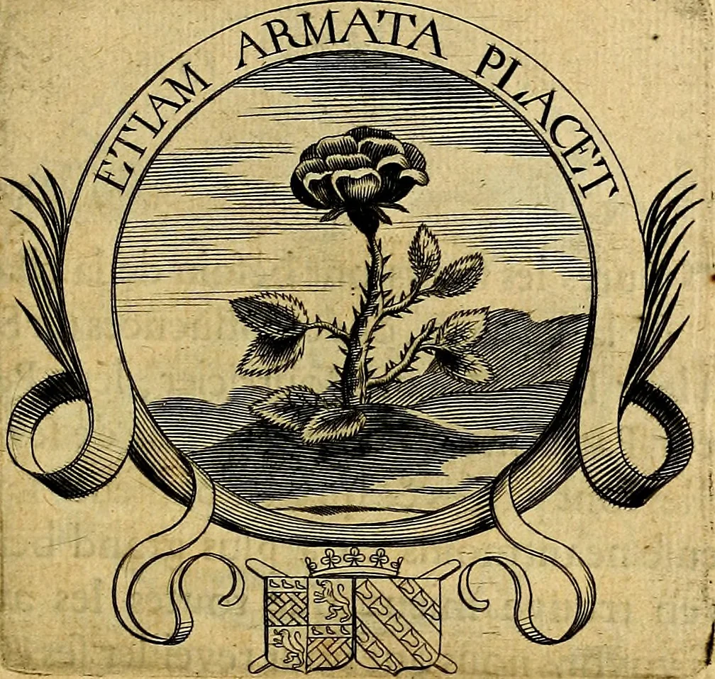 An illustration from De l'art des devises, 1666, leaf 358