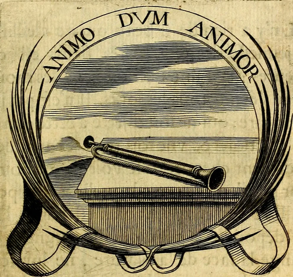 An illustration from De l'art des devises, 1666, leaf 378