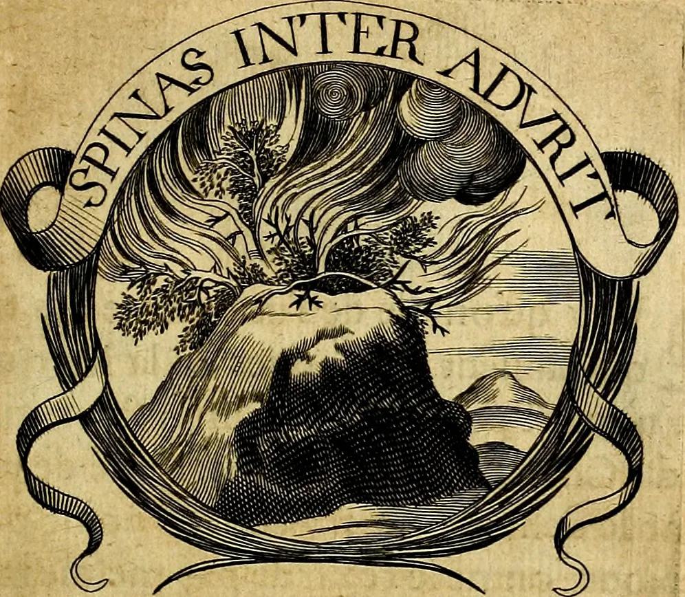 An illustration from De l'art des devises, 1666, leaf 414