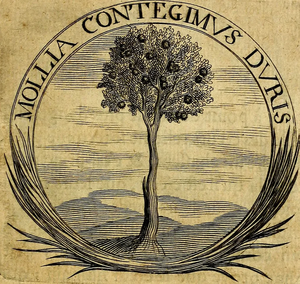 An illustration from De l'art des devises, 1666, leaf 416