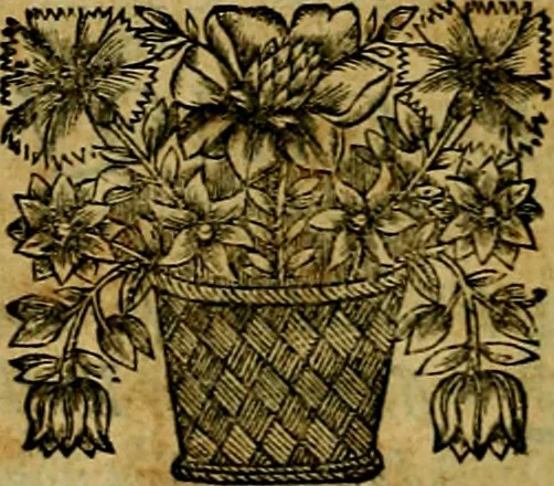An illustration from De l'art des devises, 1666, leaf 43