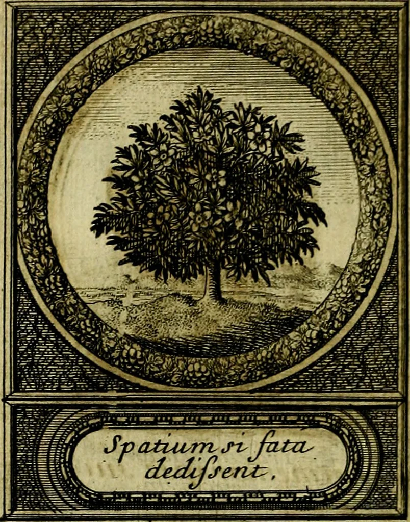 An illustration from De l'art des devises, 1666, leaf 525