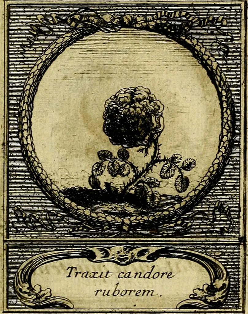 An illustration from De l'art des devises, 1666, leaf 526
