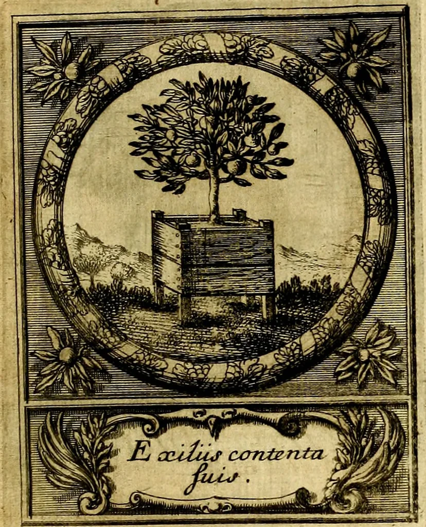 An illustration from De l'art des devises, 1666, leaf 532