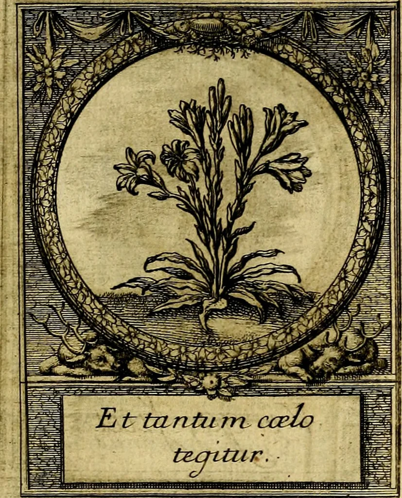 An illustration from De l'art des devises, 1666, leaf 534