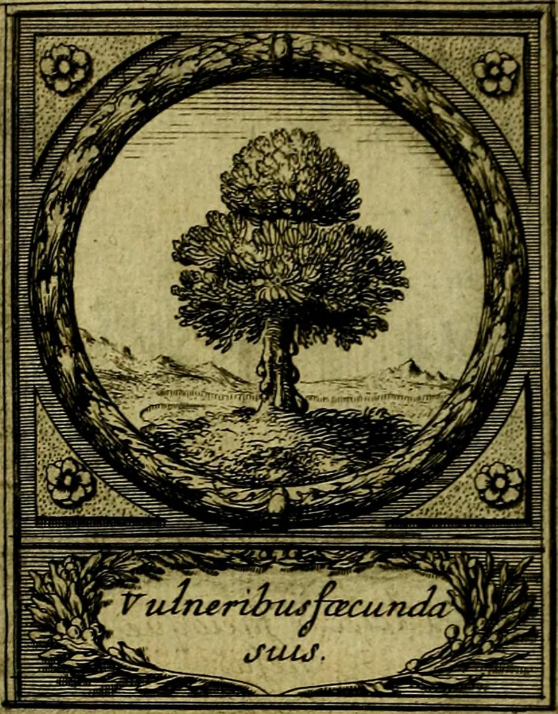An illustration from De l'art des devises, 1666, leaf 541