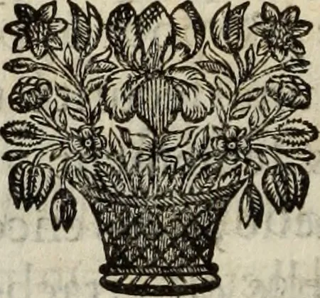 An illustration from De la sainteté et des devoirs de la vie monastique, 1683, leaf 431